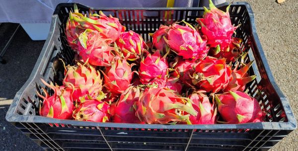 Upcountry Farmer's Market by null