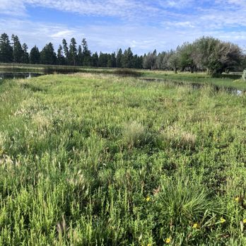 Backland - camp grounds - Resorts Near Me - Williams, Arizona