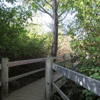 Tilden Regional Park - The bridge to the lake - Parks Near Me - Berkeley, California