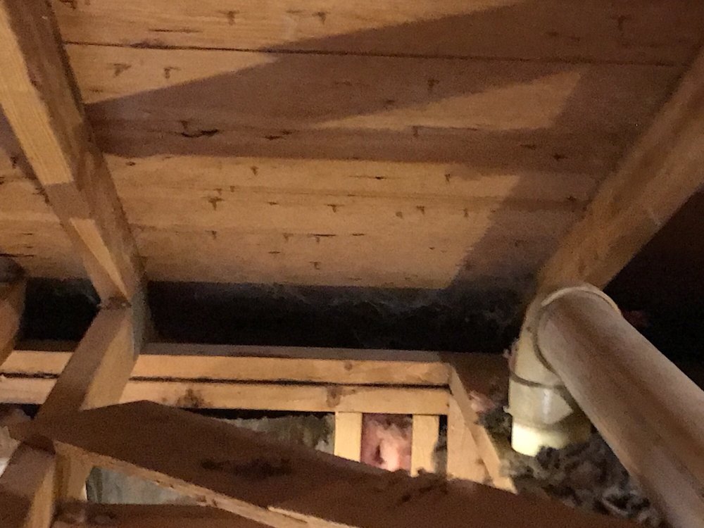 FOX VALLEY GUTTER CAP AND INSULATION Updated August 2024 11 Reviews