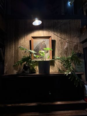 Harper & Rye by null