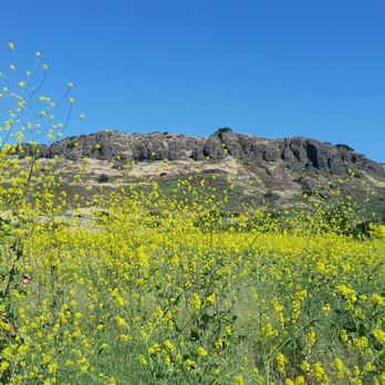 Paradise Falls - Hiking Near Me - Thousand Oaks, California