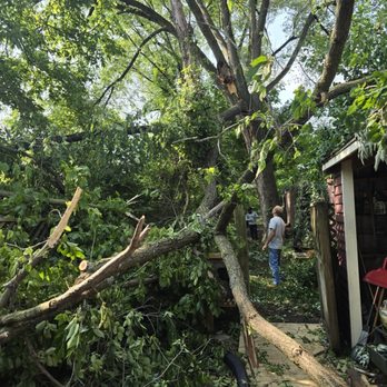 Precision Tree Service - Tree Services Near Me