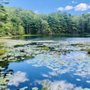 Photo of Sprague Pond Trail