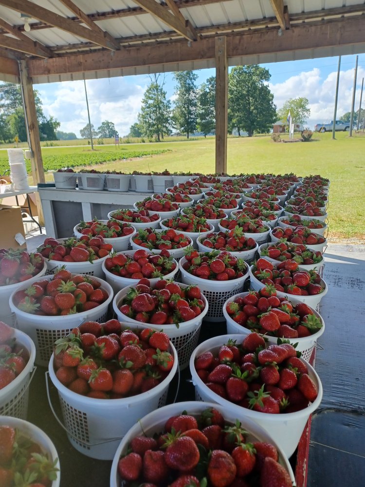 JOHNSON FARMS Updated June 2024 7637 Old Stage Rd, Angier, North