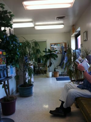 Azalea Super Service