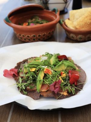 Suculenta Cocina Mexicana by null