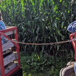 Oakdale Farm - Hayride