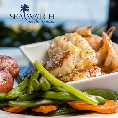 Sea Watch On the Ocean by null