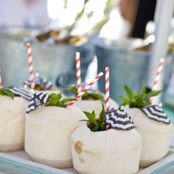 Watsons Bay Boutique Hotel - Coconut Cocktails