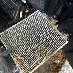 Mechanical Mikes Roadside Repair - Cabin Air Filter on 2017 Chevrolet Silverado 1500 after mice nested in it