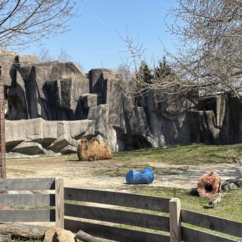 Milwaukee County Zoo - Camel - Zoos Near Me - Milwaukee, Wisconsin