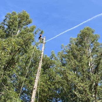 North Bay Tree Service - North Bay Tree Service - Tree Services Near Me