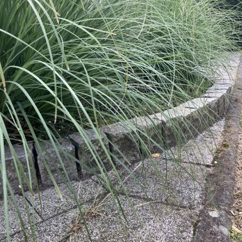 Tibes Landscaping Maintenance - Landscaping Near Me Tibes Landscaping Maintenance - Landscaping Near Me