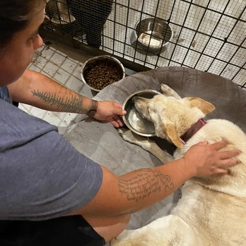 Native K-9 - Pet Training Near Me - Caseville, Michigan Native K-9 - Pet Training Near Me - Caseville, Michigan