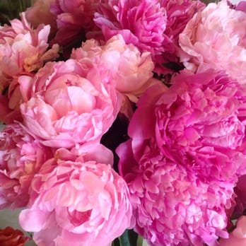 Bridget's Blooms - Peonies! She has the best ones out there! - Florists Near Me - La Jolla, California Bridget's Blooms - Peonies! She has the best ones out there! - Florists Near Me - La Jolla, California