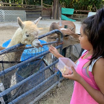 ​Happi Farm - Community Service/Non-Profit Near Me - Davie, Florida