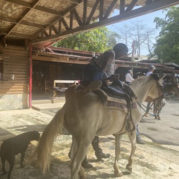 Carabali Rainforest Park - My mom in her seventies. There were kids as young as five. - Horseback Riding Near Me - Luquillo, Puerto Rico