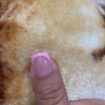 Ivy Nails - I think the base of this nail is already starting to unstick. - Nail Salons Near Me - Paramount, California Ivy Nails - I think the base of this nail is already starting to unstick. - Nail Salons Near Me - Paramount, California