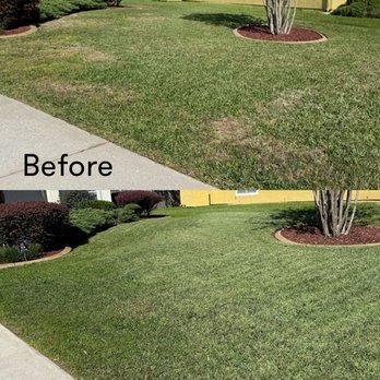 A1 Complete Pest Control and Lawn Care - Pest Control Near Me