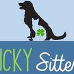 Lucky Dog Barks and Recreation - untitled