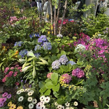 Garfield Park Conservatory - Parks Near Me - Chicago, Illinois