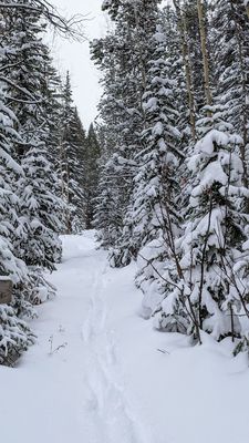 Grottos Trail by null