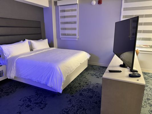 Renaissance Albany Hotel by null