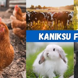 Kaniksu Feeds