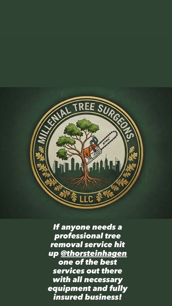 Millennial Tree Surgeon - tree service in Saint Paul, MN