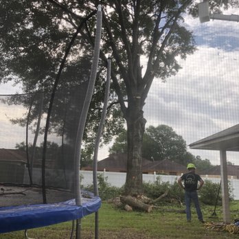 Bayou Tree Service - Cutting - Tree Services Near Me - Baton Rouge, Louisiana Bayou Tree Service - Cutting - Tree Services Near Me - Baton Rouge, Louisiana