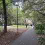 Photo of Lang Park