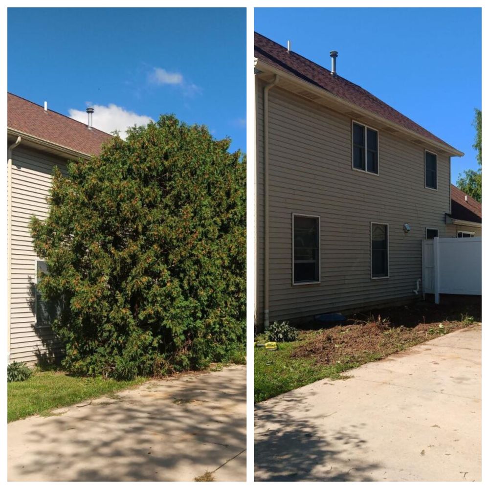 Morrison and Son Tree Service - tree service in Spencer, OH