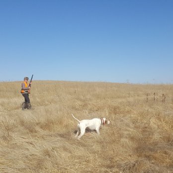 Quail Point Hunt Club - Gun/Rifle Ranges Near Me - Zamora, California