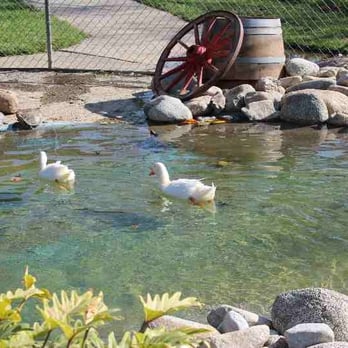 Grant Rea Park - Grant Rea Park/Montebello Barn Yard Zoo By:Alfred.M.Villa - Parks Near Me - Montebello, California Grant Rea Park - Grant Rea Park/Montebello Barn Yard Zoo By:Alfred.M.Villa - Parks Near Me - Montebello, California