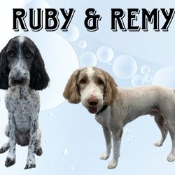 Outlaws Pet Grooming - After grooming.