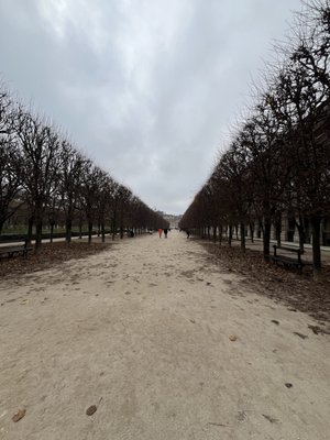 Jardin du Palais Royal by null