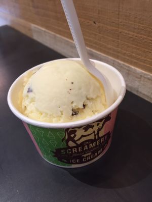 The Screamery by null