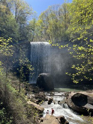 Cloudland Canyon State Park by null