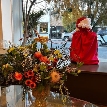 Clark Nova - Hair Salons Near Me - Los Angeles, California