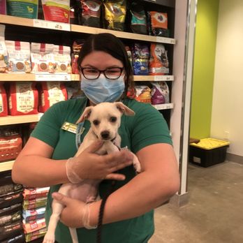 Healthy Spot - Pasadena - Pet Groomers Near Me - Pasadena, California