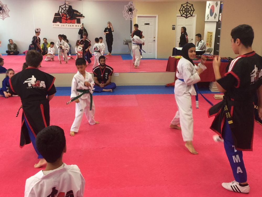 SKOKIE TEAM MARTIAL ARTS Updated September 2024 3555 W Dempster St, Skokie, Illinois