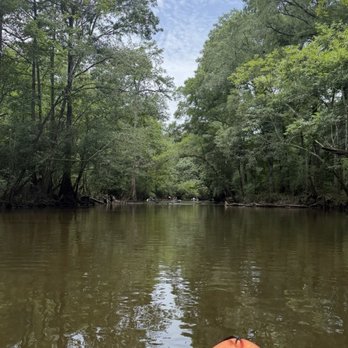 Cypress Springs Adventures - Relaxing, quiet, clean and admiring nature. - Boating Near Me Cypress Springs Adventures - Relaxing, quiet, clean and admiring nature. - Boating Near Me