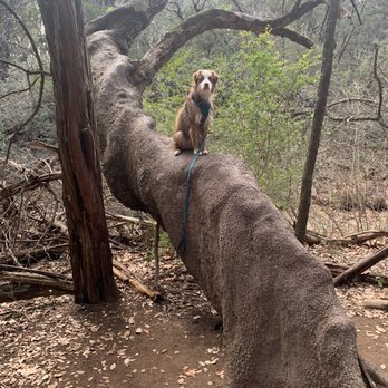 Emma Long Park Turkey Creek Trail - Hiking Near Me - Austin, Texas