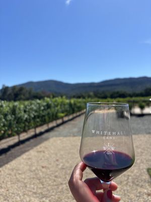 Whitehall Lane Winery by null