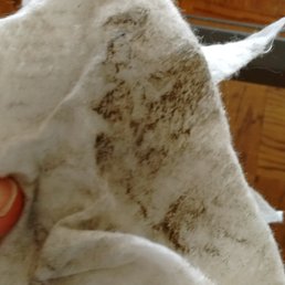 this is off of the blinds, something I specifically asked to be cleaned