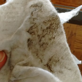 The Cleaning Touch - this is off of the blinds, something I specifically asked to be cleaned - Home Cleaning Near Me - Silver spring, Maryland