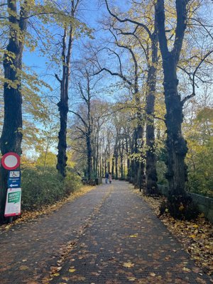 Minnewater Park by null