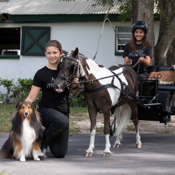 Avalon Stables - Summer Camps Near Me - Lutz, Florida