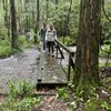Hawkesdene Mountain Retreat Company gift card